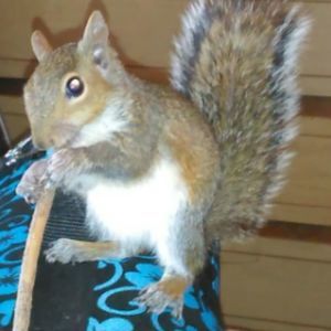 Meet your Posher, Natalie